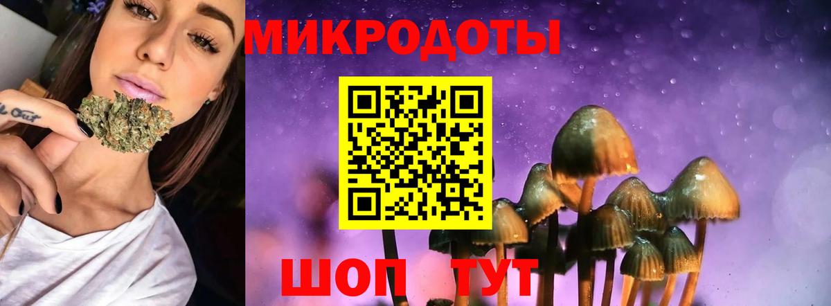 Псилоцибиновые грибы Psilocybe Волжский
