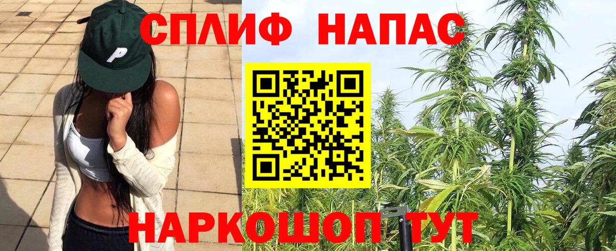 Канабис план  Марихуана марихуана  Вход с VPN  Волжский  Бошки марихуана конопля 